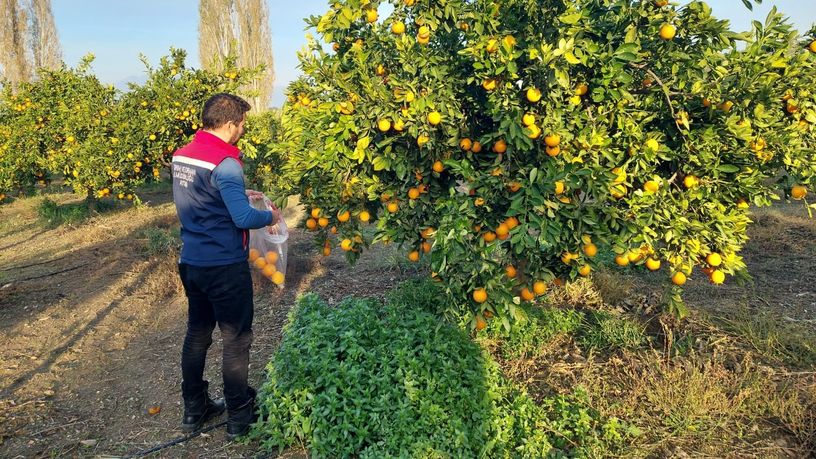 Tarım Bakanlığı'nın yeni pestisit düzenlemesi Resmi Gazete'de yayınlandı