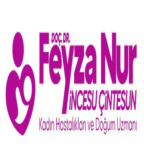 Feyza Nur İNCESU ÇİNTESUN